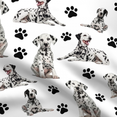 Wholesale cute dalmatian print cotton fabric for home textile